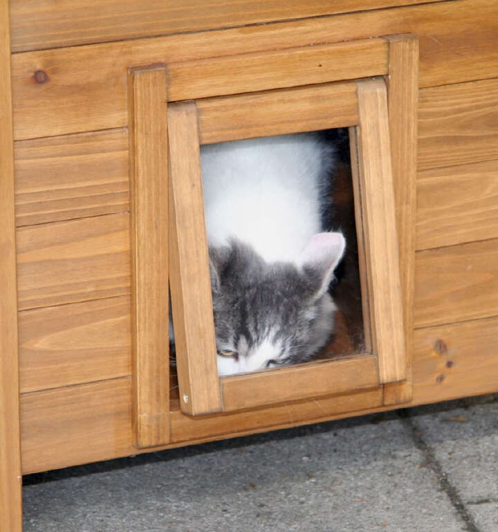 KERBL Katzenhaus LODGE